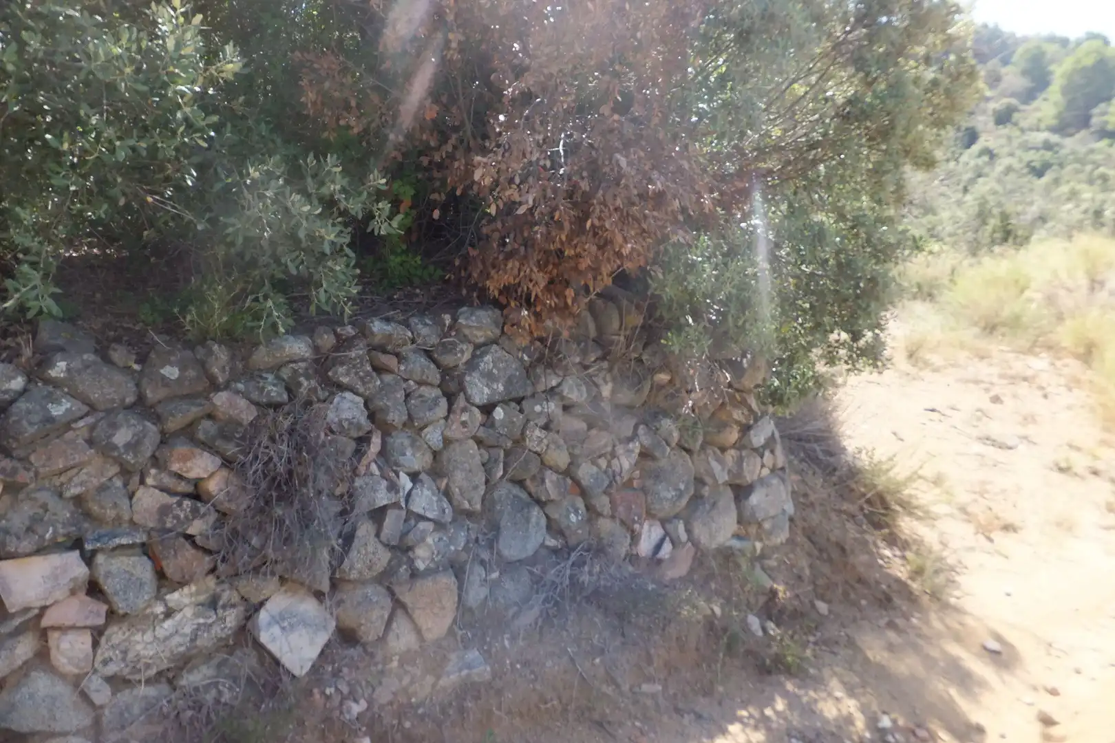 Land for sale in Alforja