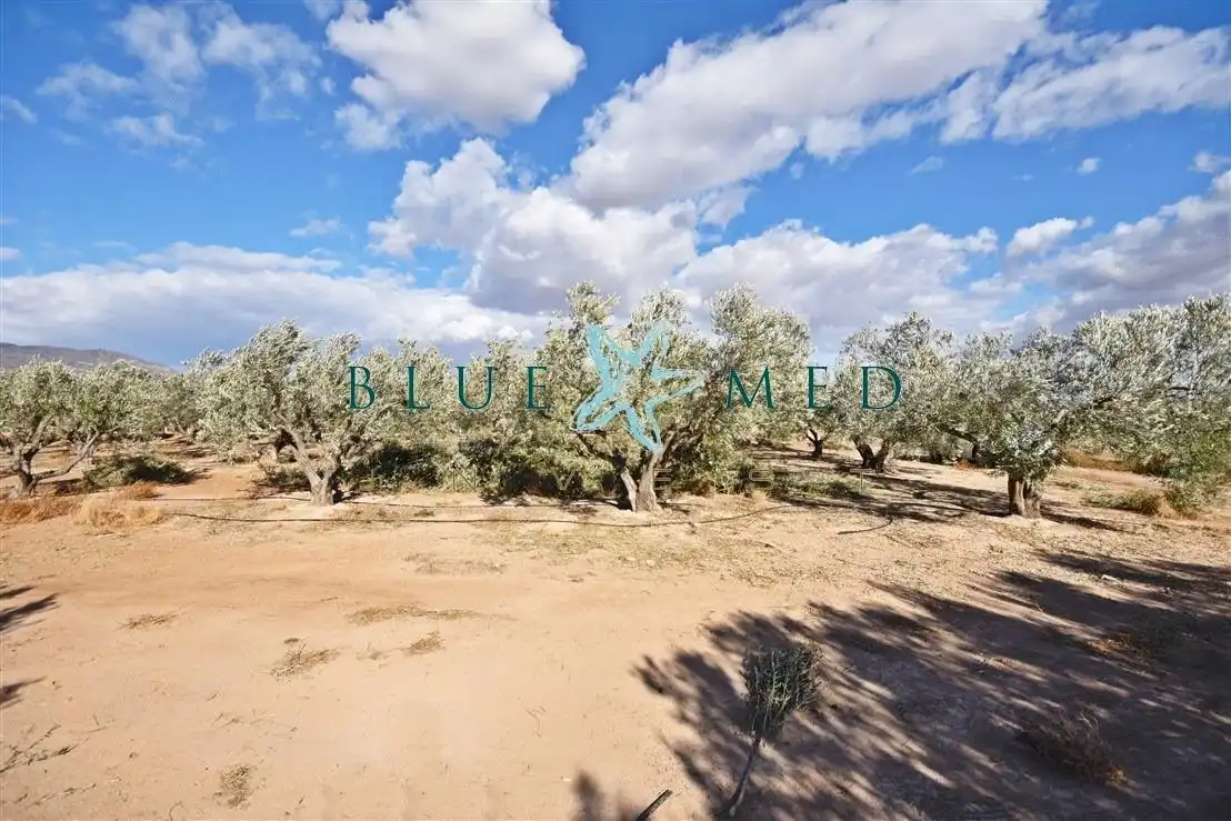 Casa o chalet en venta en Alhama de Murcia con Aire acondicionado, Calefacción y Jardín privado