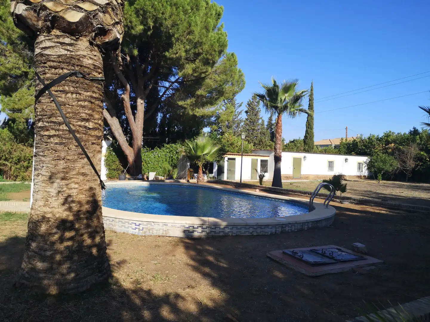 Casa amb piscina en venda a Loreto, imagen 13