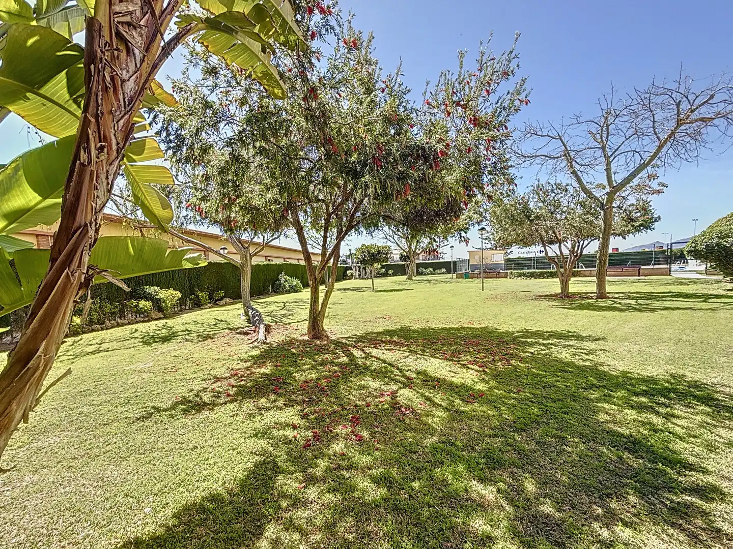 Apartments for rent in Calle Villanueva del Rosario, Puerta Blanca