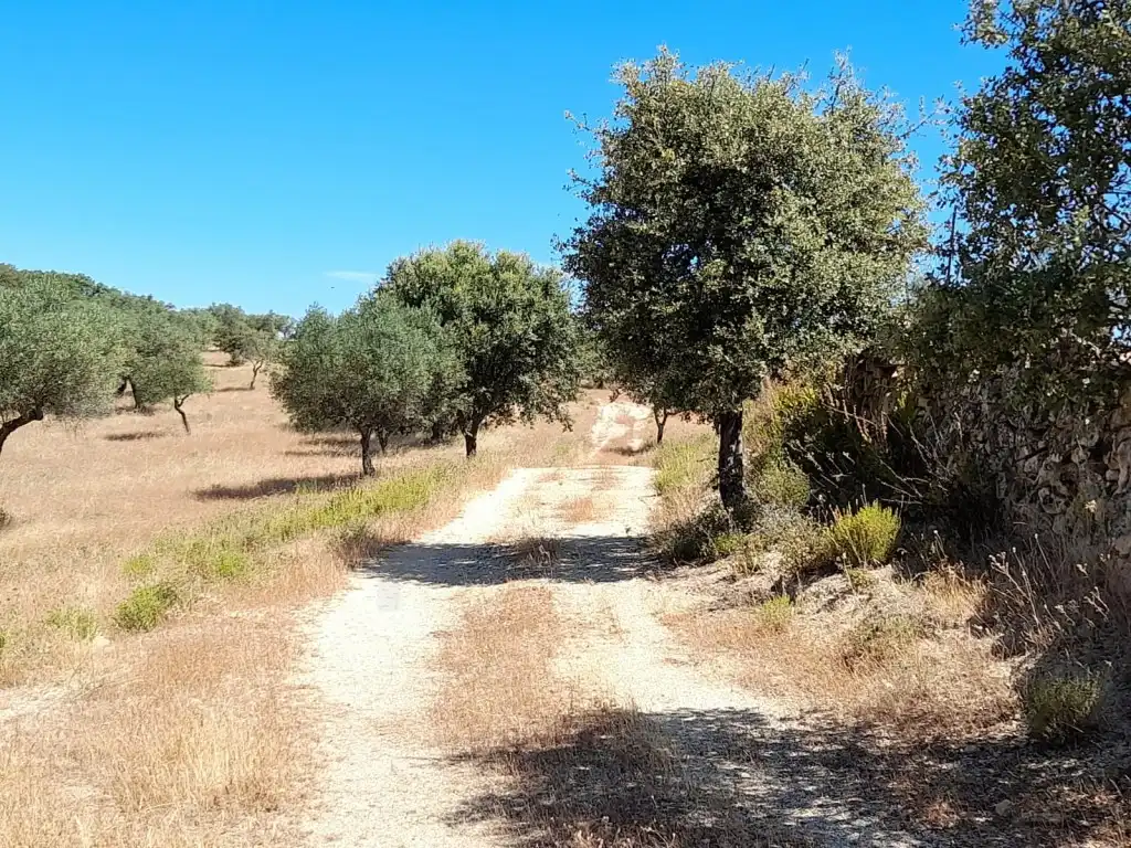 Vista exterior de Casa o xalet en venda en San Vicente de Alcántara