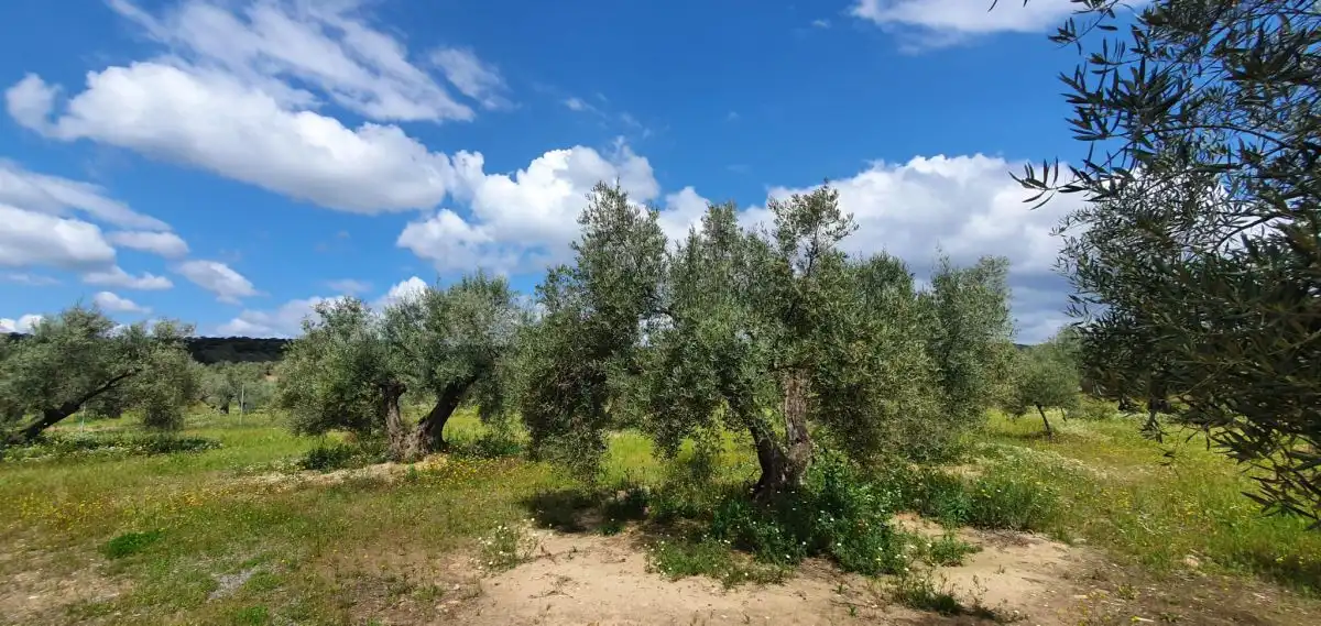 Country homes for sale in Bailén, Jaén