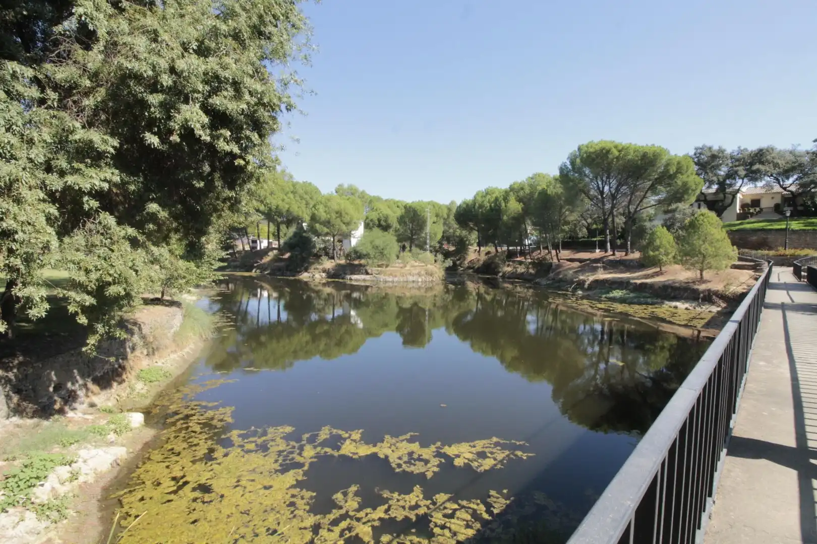Jardín de Casa o chalet en venta en El Castillo de las Guardas con Jardín privado, Trastero y Piscina