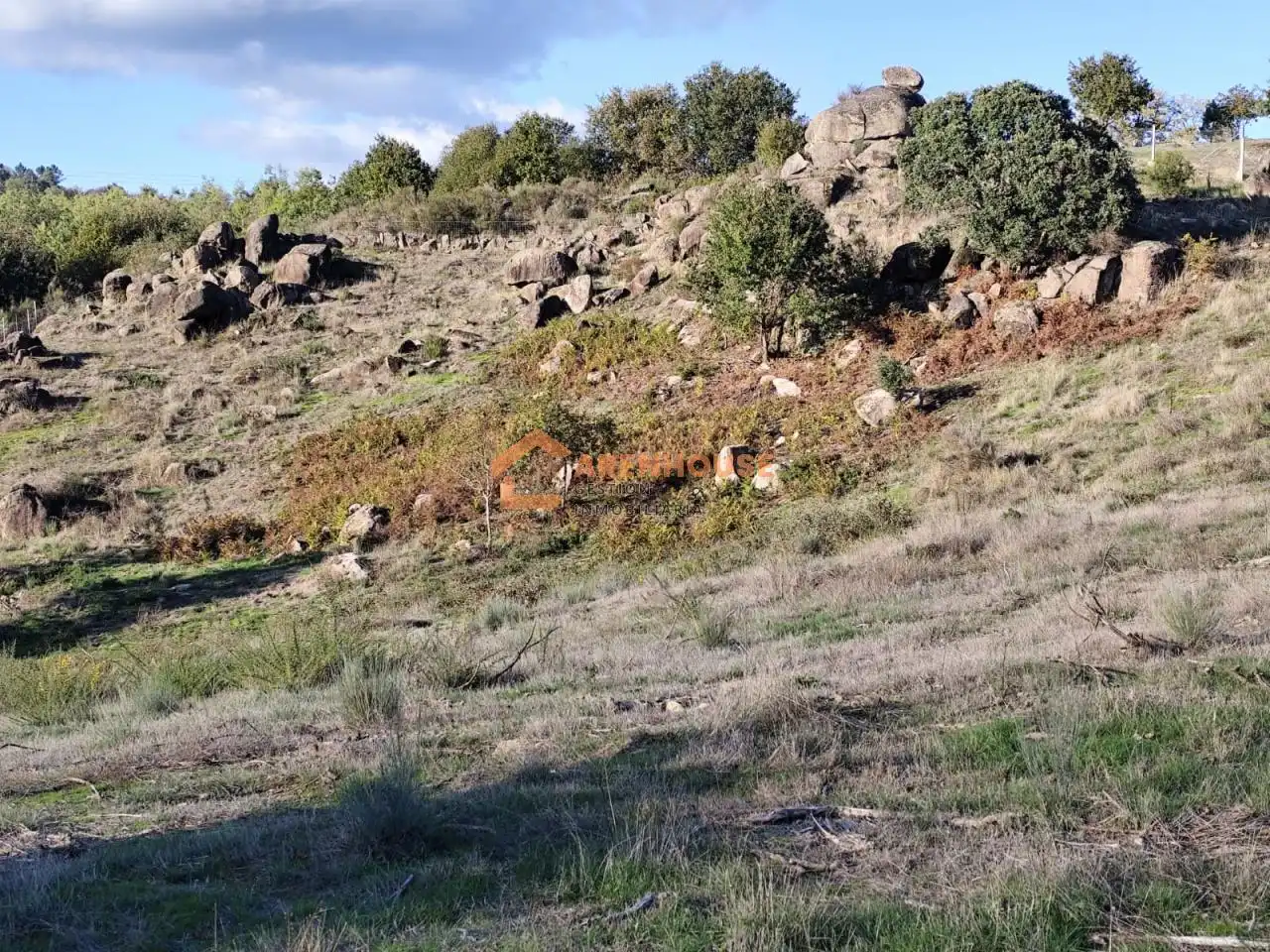 Terreni e lotti in vendita a Ventiun, imagen 13