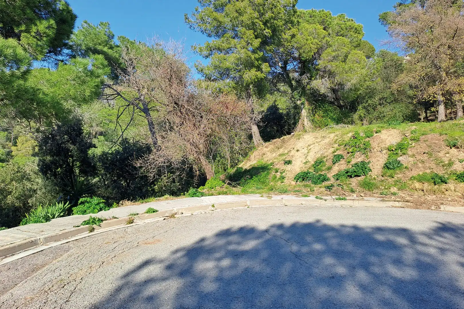 Lands and plots for sale in CANIGO, imagen 20