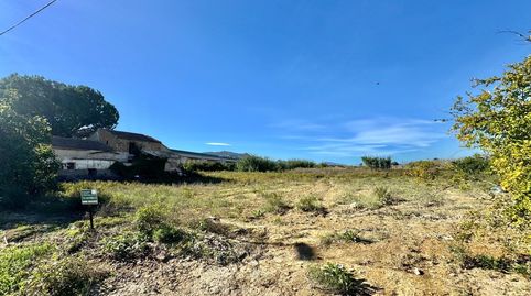 Foto 3 de Finca rústica en venta en Vereda de Tabala, Alquerías, Murcia Capital