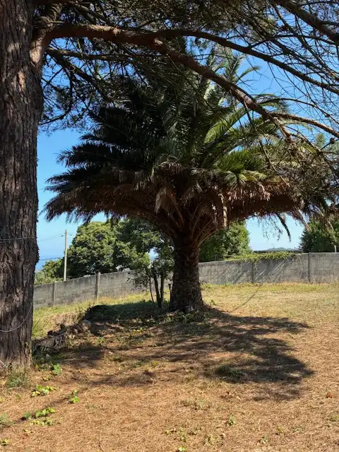 Maison avec jardin à vendre à Loureda - Lañas - Barrañán, imagen 16