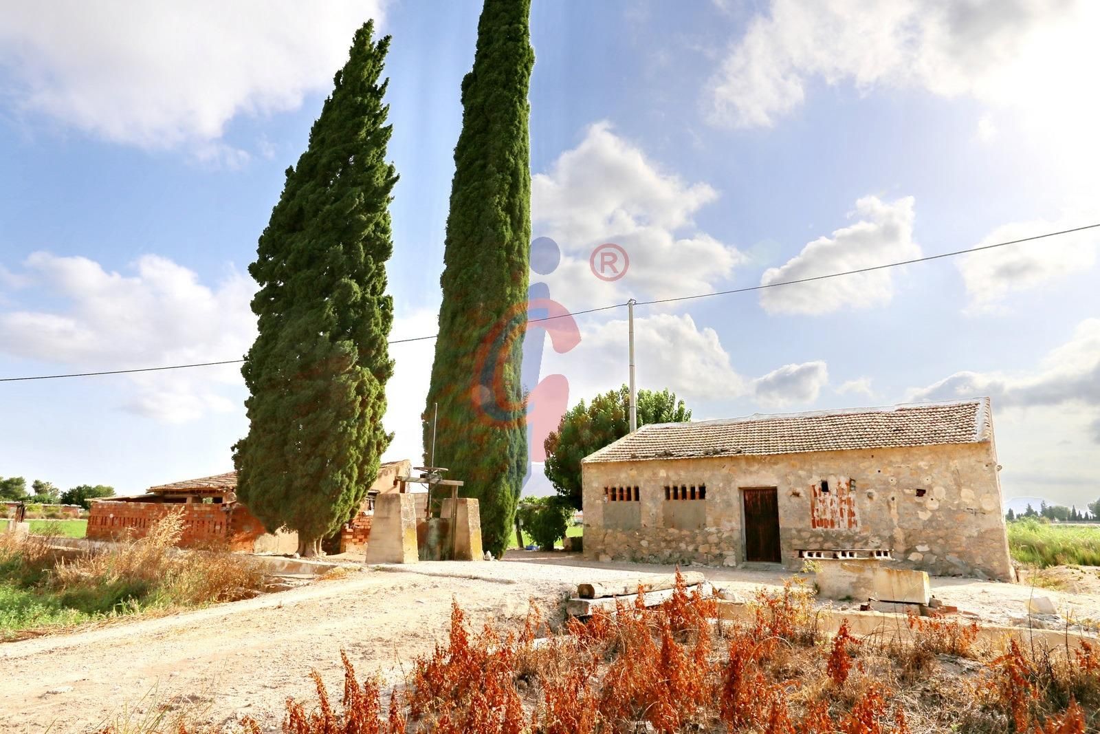 Vista exterior de Finca rústica en venda en Callosa de Segura amb Jardí privat