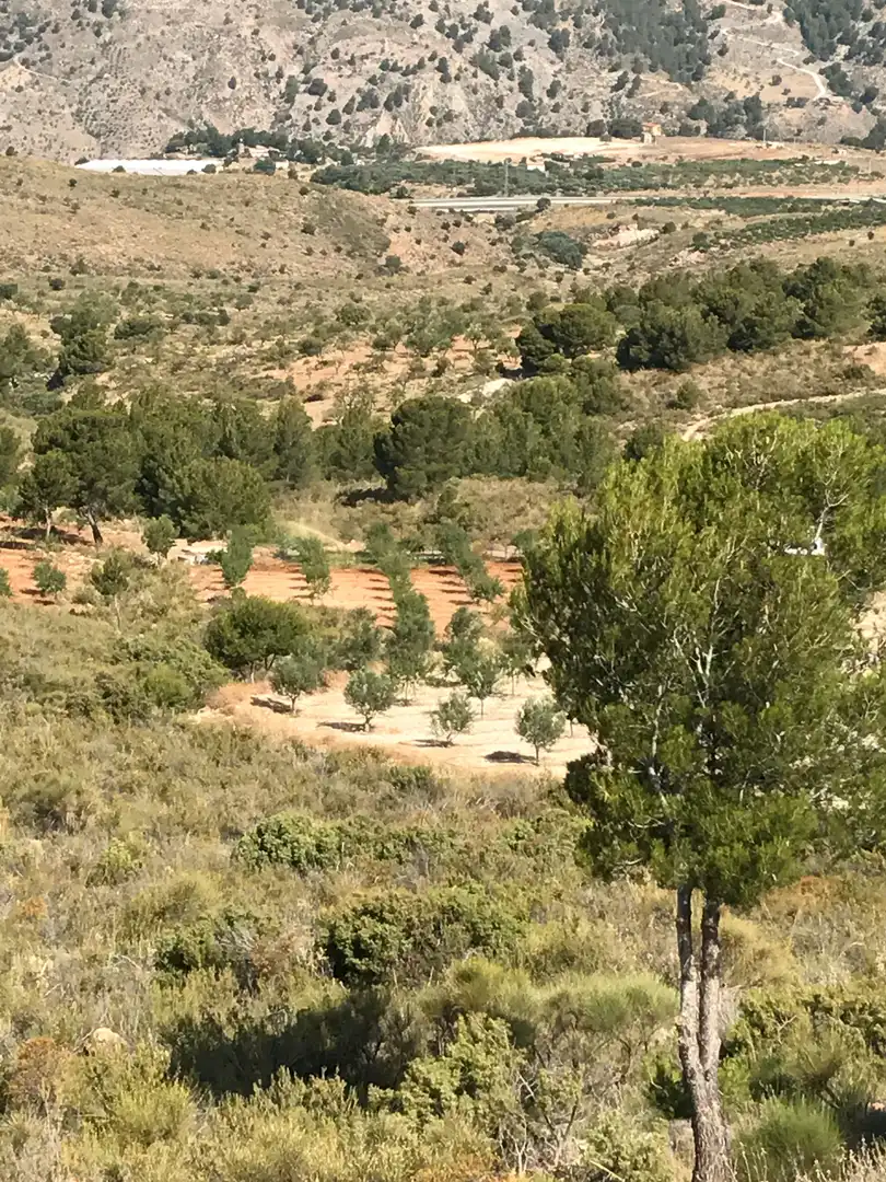 Rustikales Grundstück zum Verkauf in Motril  ciudad, imagen 15
