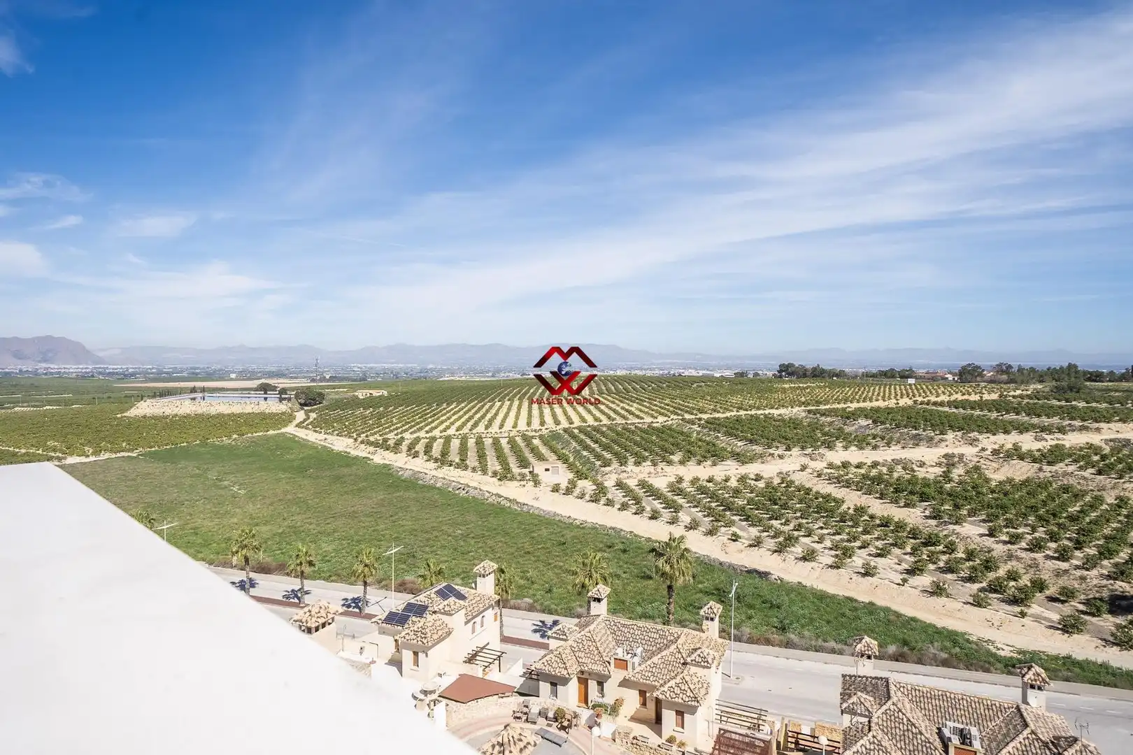 Villa con piscina in vendita a Algorfa, imagen 25