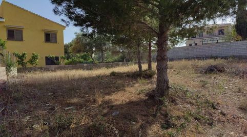 GRAN TERRENO URBANO EN LA URBANIZACIÓN PLA DE LES CLOTXES, BENIFAIÓ, immagine 3