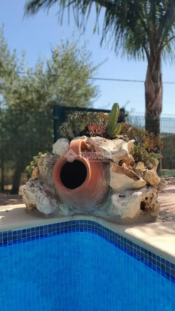 Garden of Country homes for sale in Arcos de la Frontera  with Heating, Private garden and Storage room