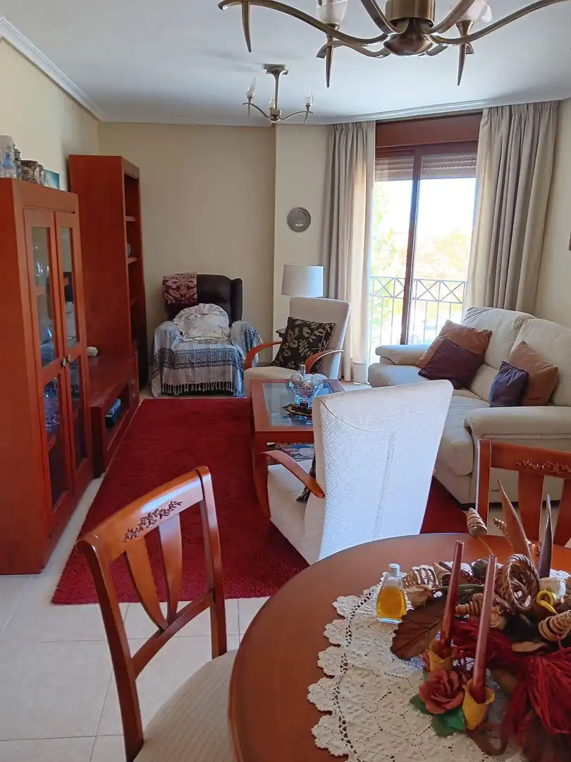 Sala d'estar de Pis en venda en Pilar de la Horadada ciudad