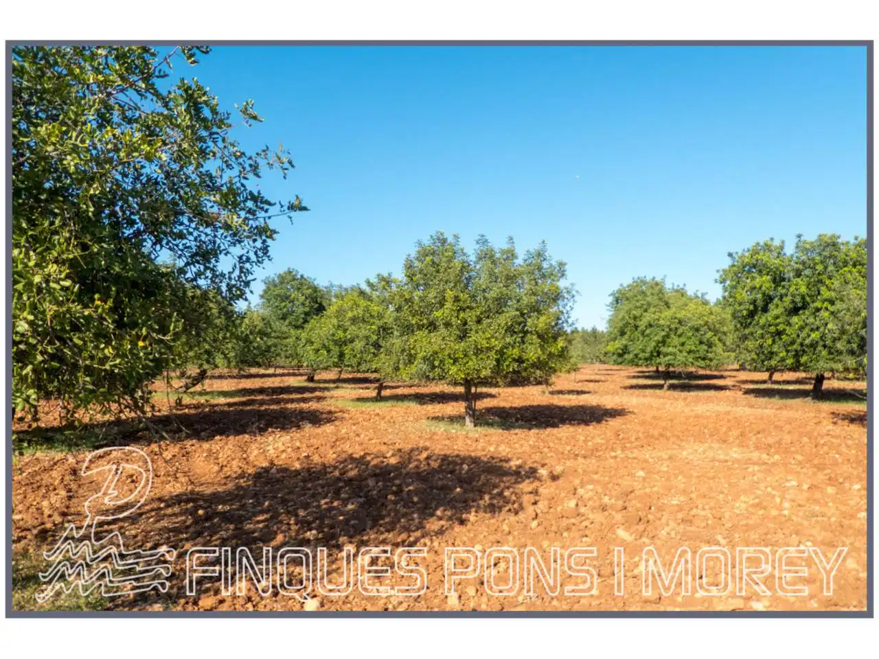 Finca rústica en venda en Campanet