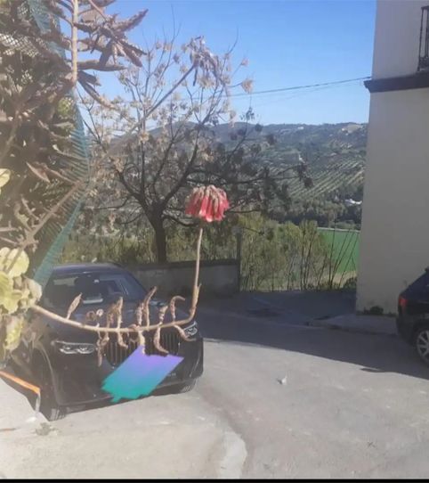 Foto 2 de Planta baixa en venda a Calle Bellavista, 9, Prado del Rey, Cádiz
