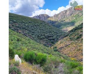 Exterior view of House or chalet for sale in Fresnedoso de Ibor