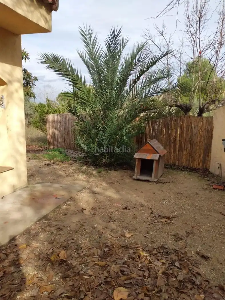 Villa à vendre à Calle de la Purísima 44, imagen 12