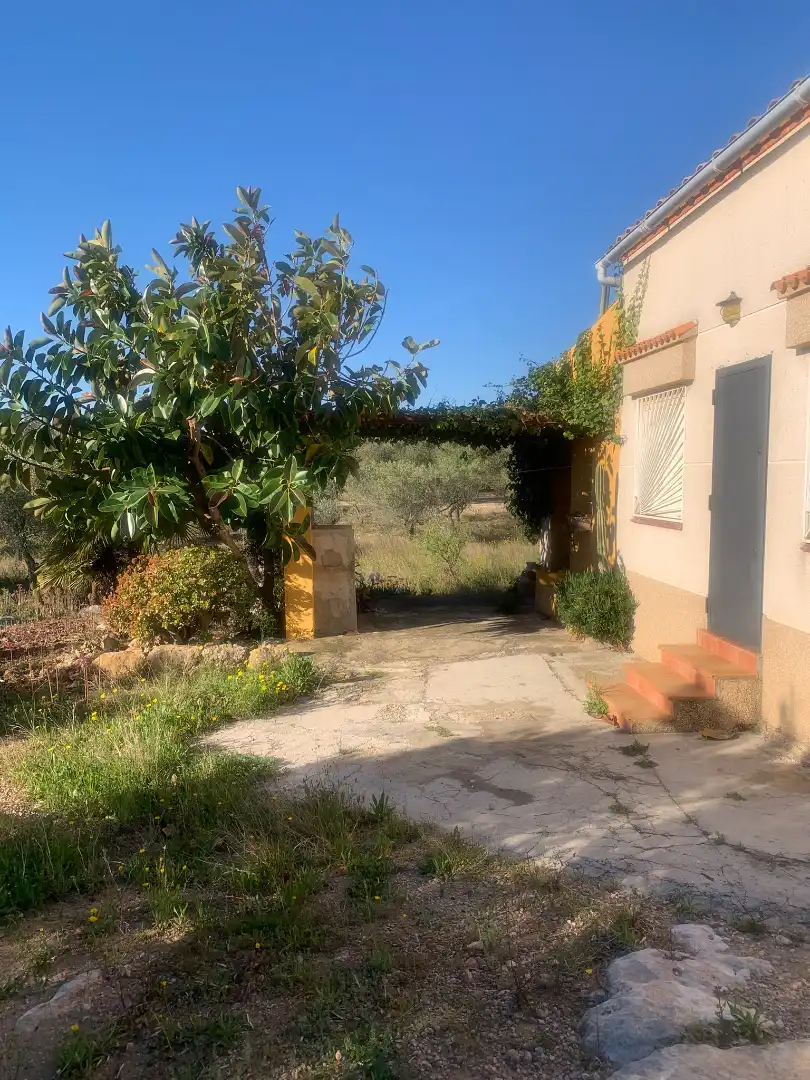 Jardí de Finca rústica en venda en Camarles