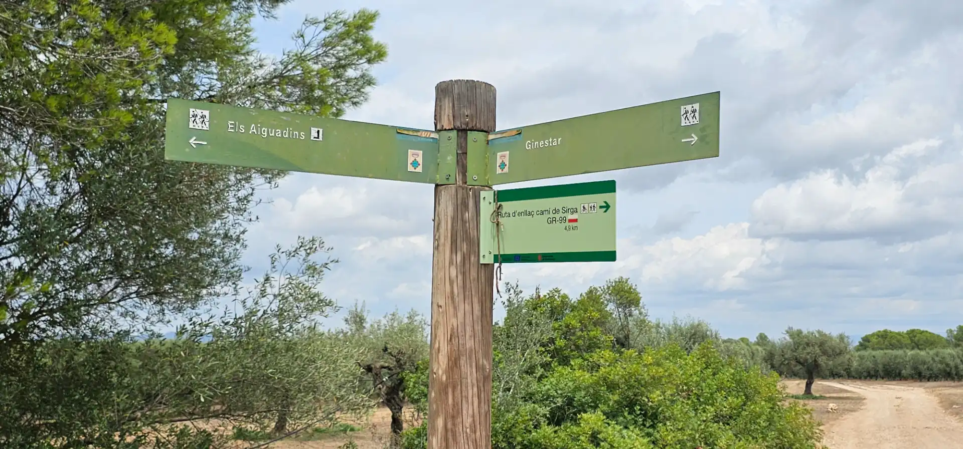 Land for sale in Móra d'Ebre