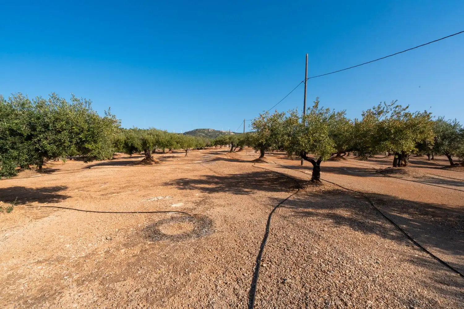 Country homes for sale in Camarles  with Storage room and Furnished