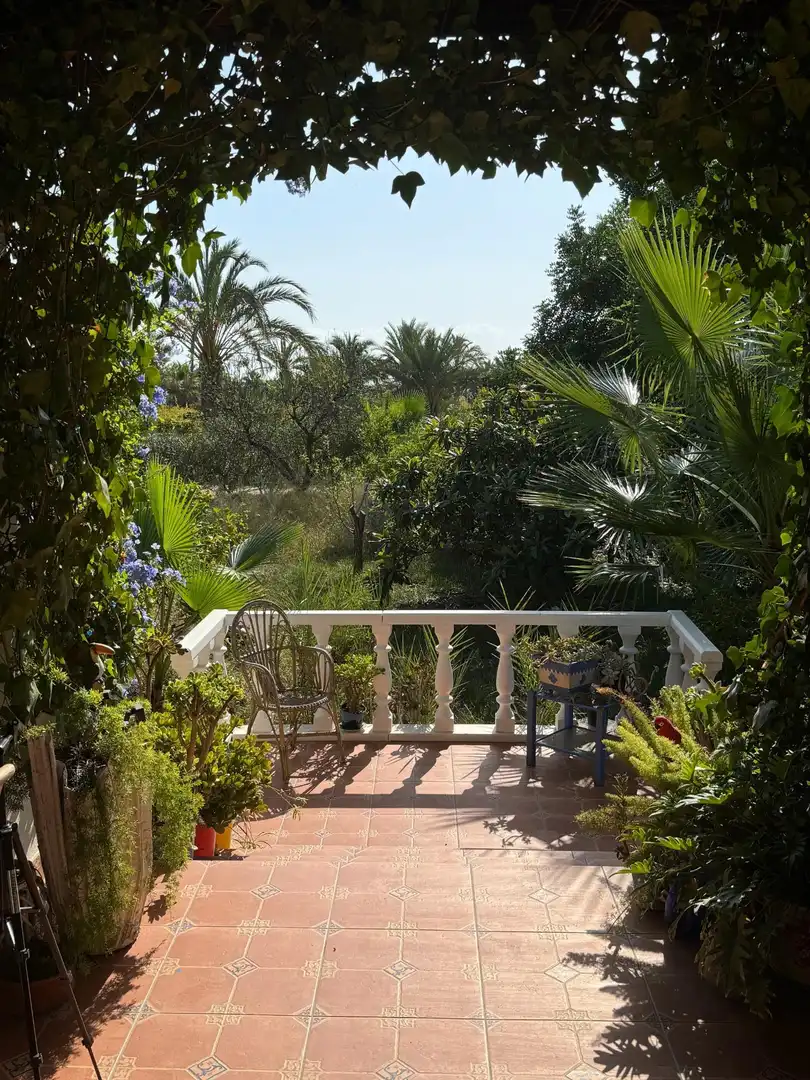 Terrassa de Finca rústica en venda en Elche / Elx amb Aire condicionat, Calefacció i Jardí privat
