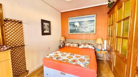 Photo 4 of Apartments for rent in El Molino, Torrevieja
