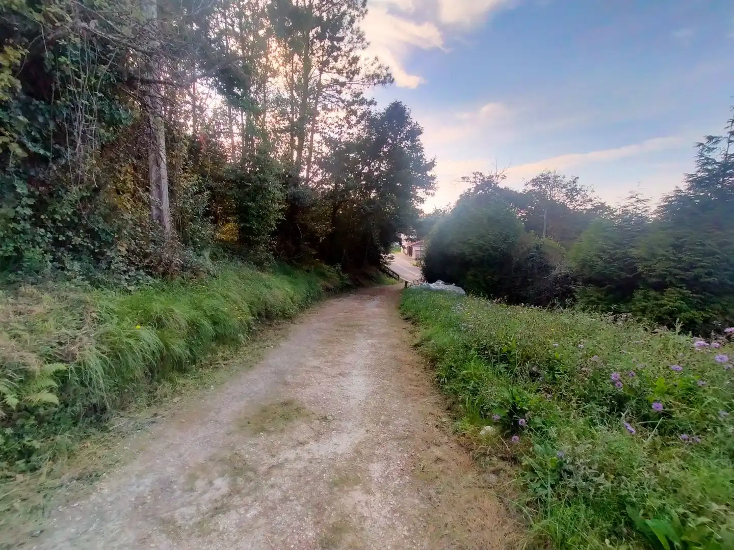 Vista exterior de Finca rústica en venta en Cudillero con Jardín privado y Trastero