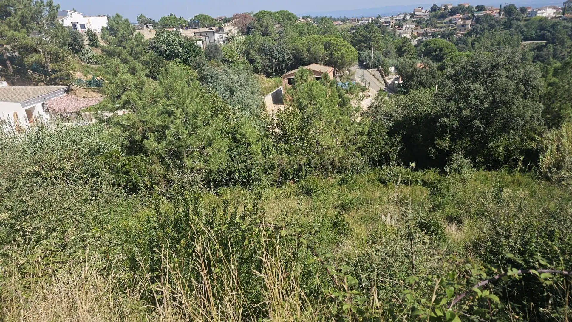 Terreno residencial en venta en Massanes, imagen 5