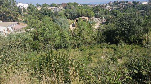 Parcela urbana amplia para construir con libertad en un entorno natural consolidado, imatge 5