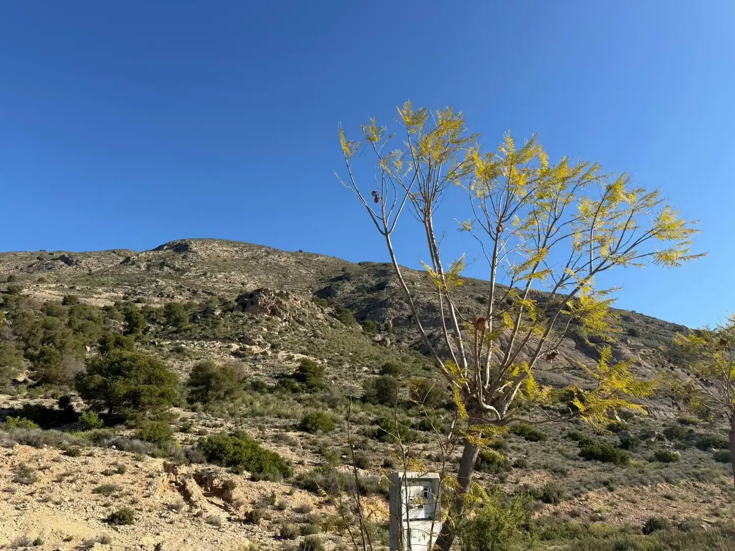 Exterior view of Residential for sale in Fortuna