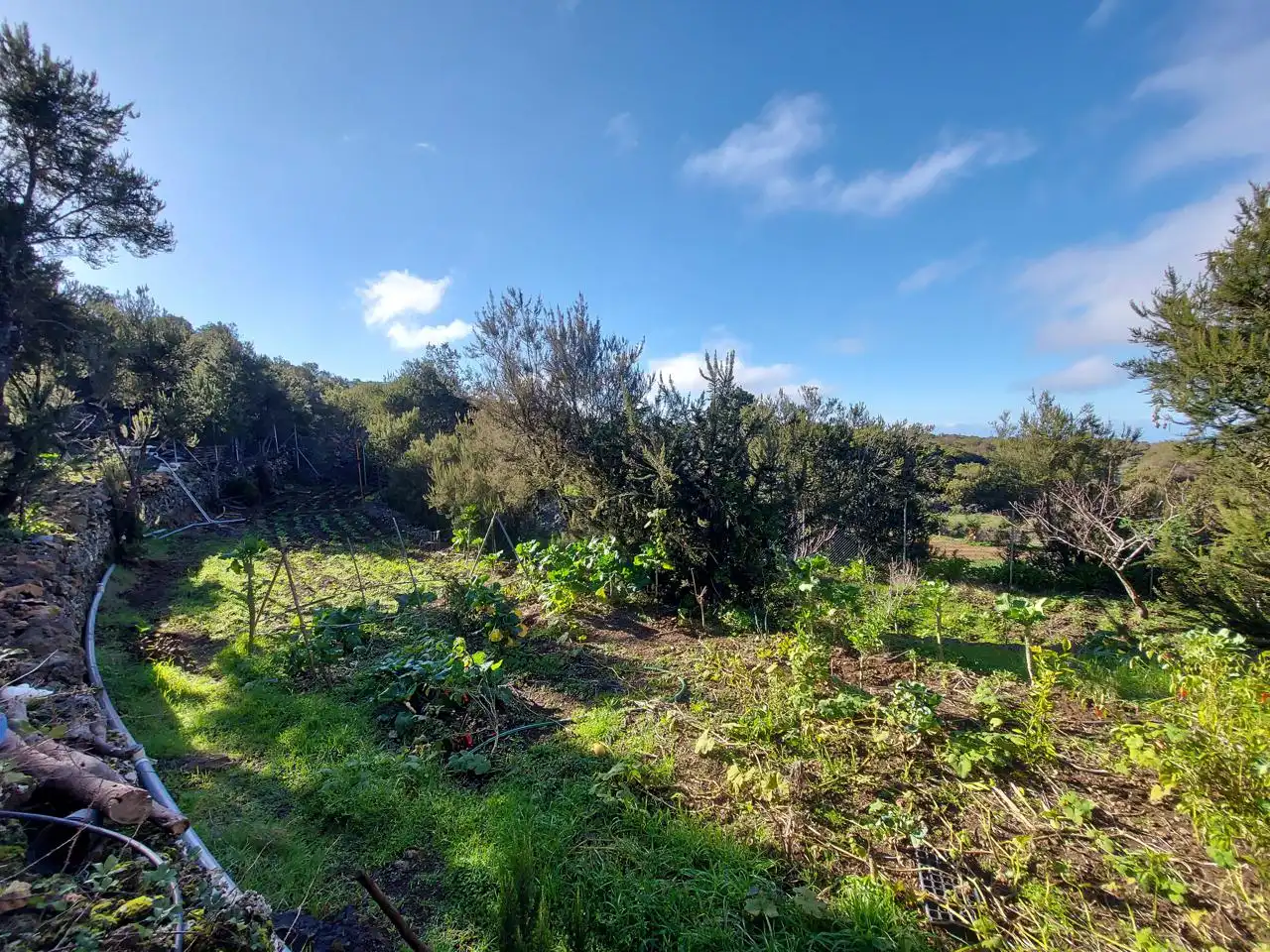 Maison avec jardin à vendre à El Tanque, imagen 13