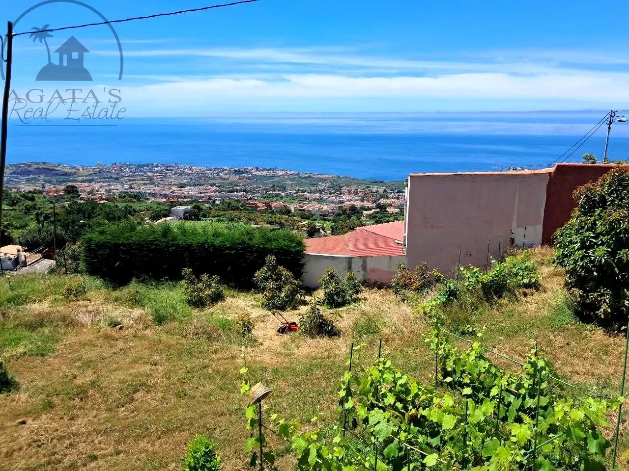 Country homes for sale in Centro