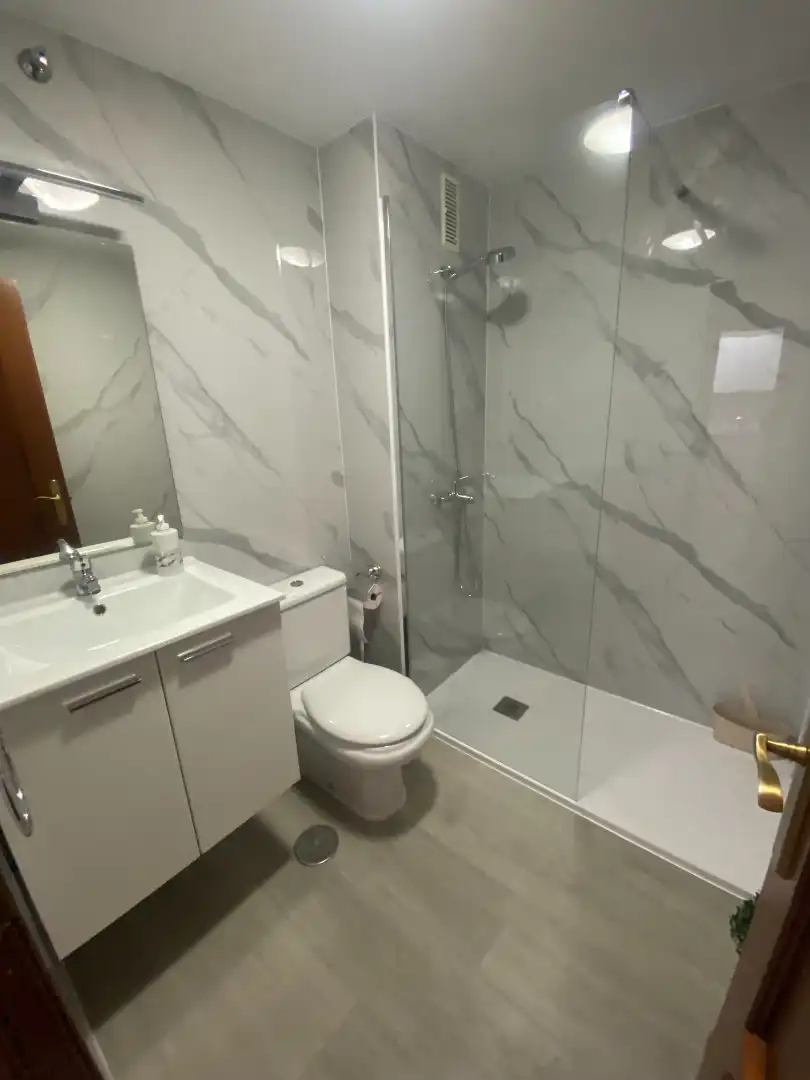 Bathroom of Apartments for rent in Málaga  with Air Conditioner, Terrace and Furnished