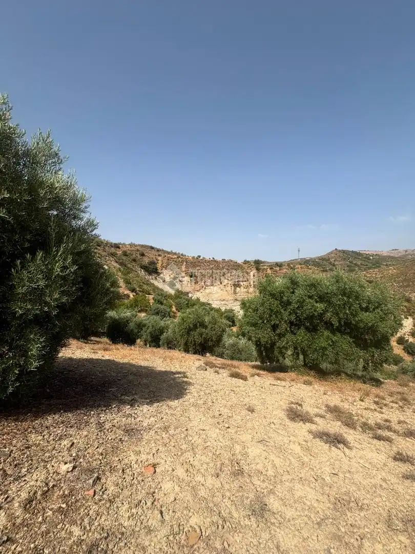 Land for sale in Quéntar