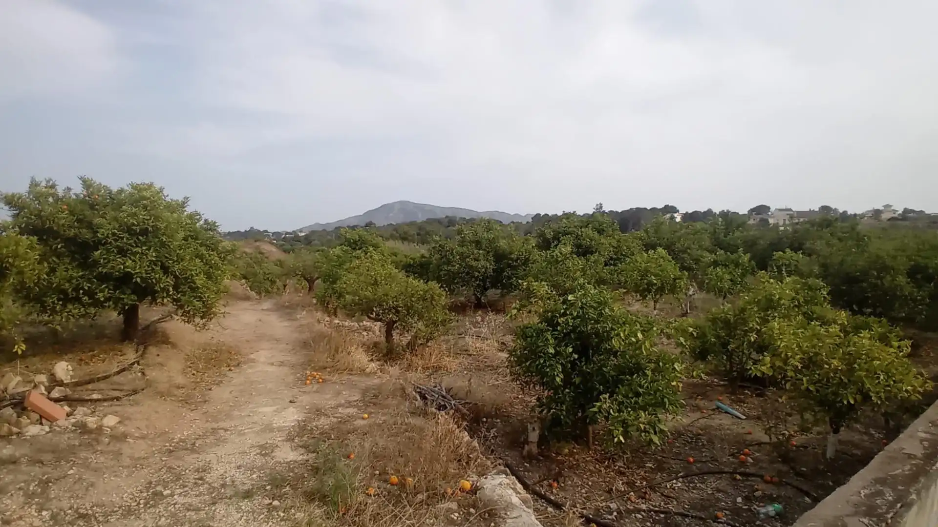 Rural land for sale in Altea ciudad, imagen 18