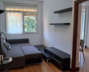 Living room of Flat to rent in Donostia - San Sebastián   with Heating, Furnished and Balcony