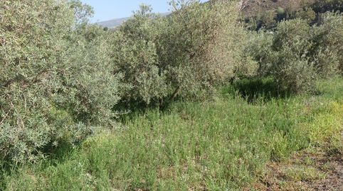 Finca Rúst. en venta en Polígonos.