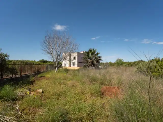 Finca rústica en venda en Alzira amb Jardí privat i Piscina