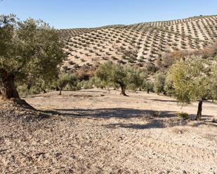 Land for sale in Dehesas Viejas