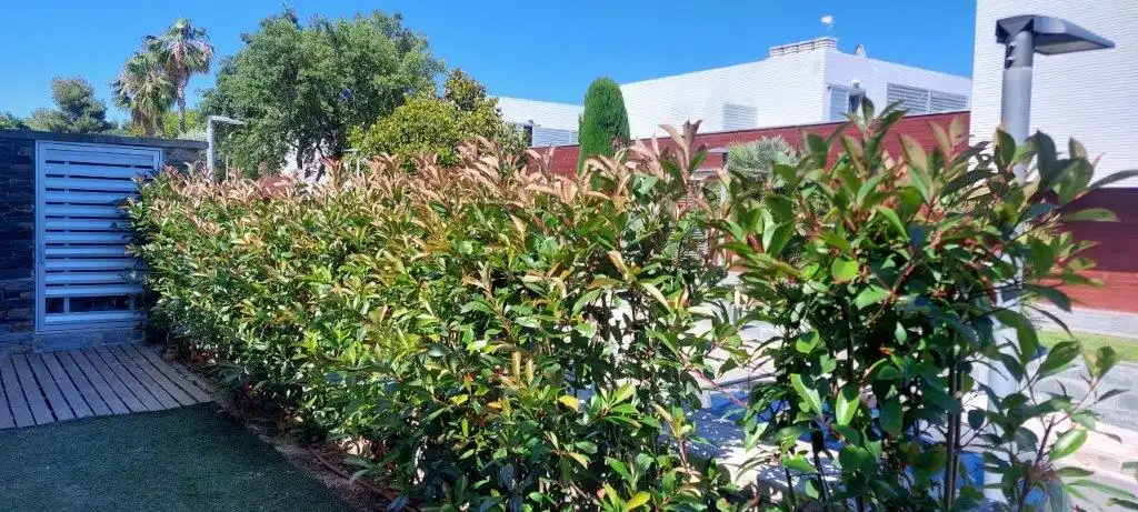 Vista exterior de Dúplex en venda en Sant Pere de Ribes amb Aire condicionat, Calefacció i Jardí privat