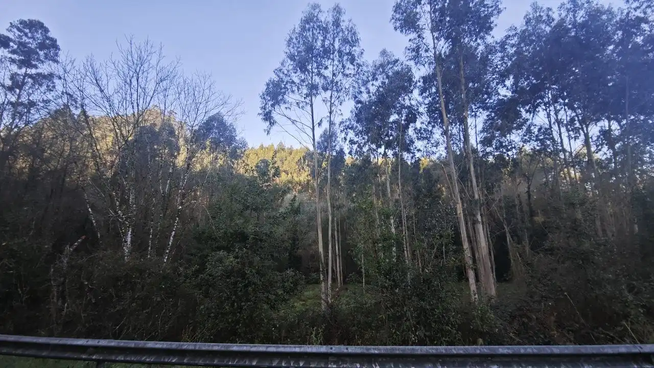 Terreno rustico in vendita a Pría - Nueva-Hontoria - Naves, imagen 13
