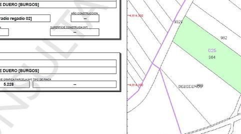 Foto 3 de Terreno en venta en Camino Alagunas, 116, Santa Catalina - Ferial, Aranda de Duero