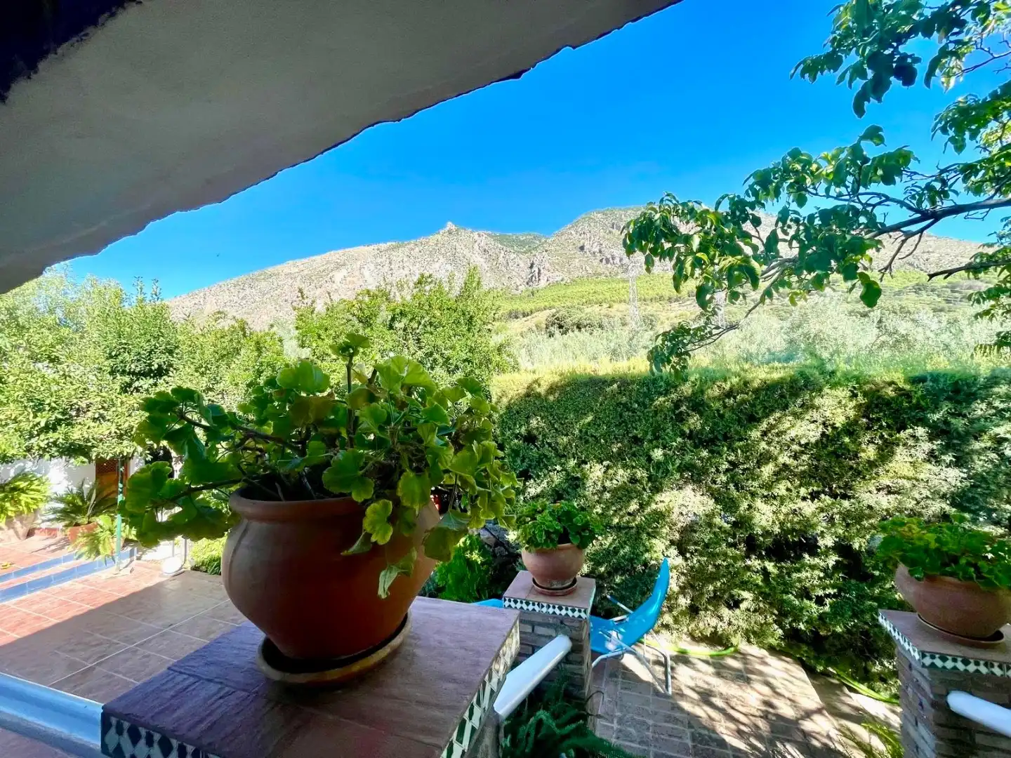Vista exterior de Finca rústica en venda en Huelma, Jaén