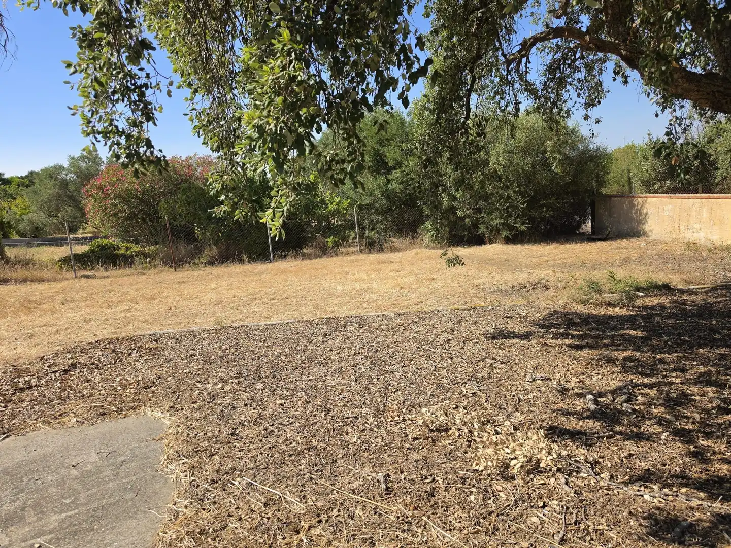 Rural land for sale in Calle Verea de la tarde, imagen 35