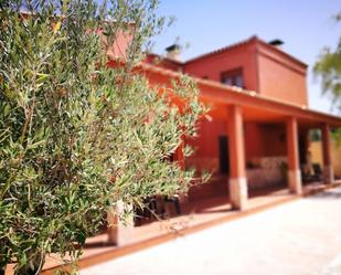 Jardí de Casa o xalet en venda en Zarza de Tajo