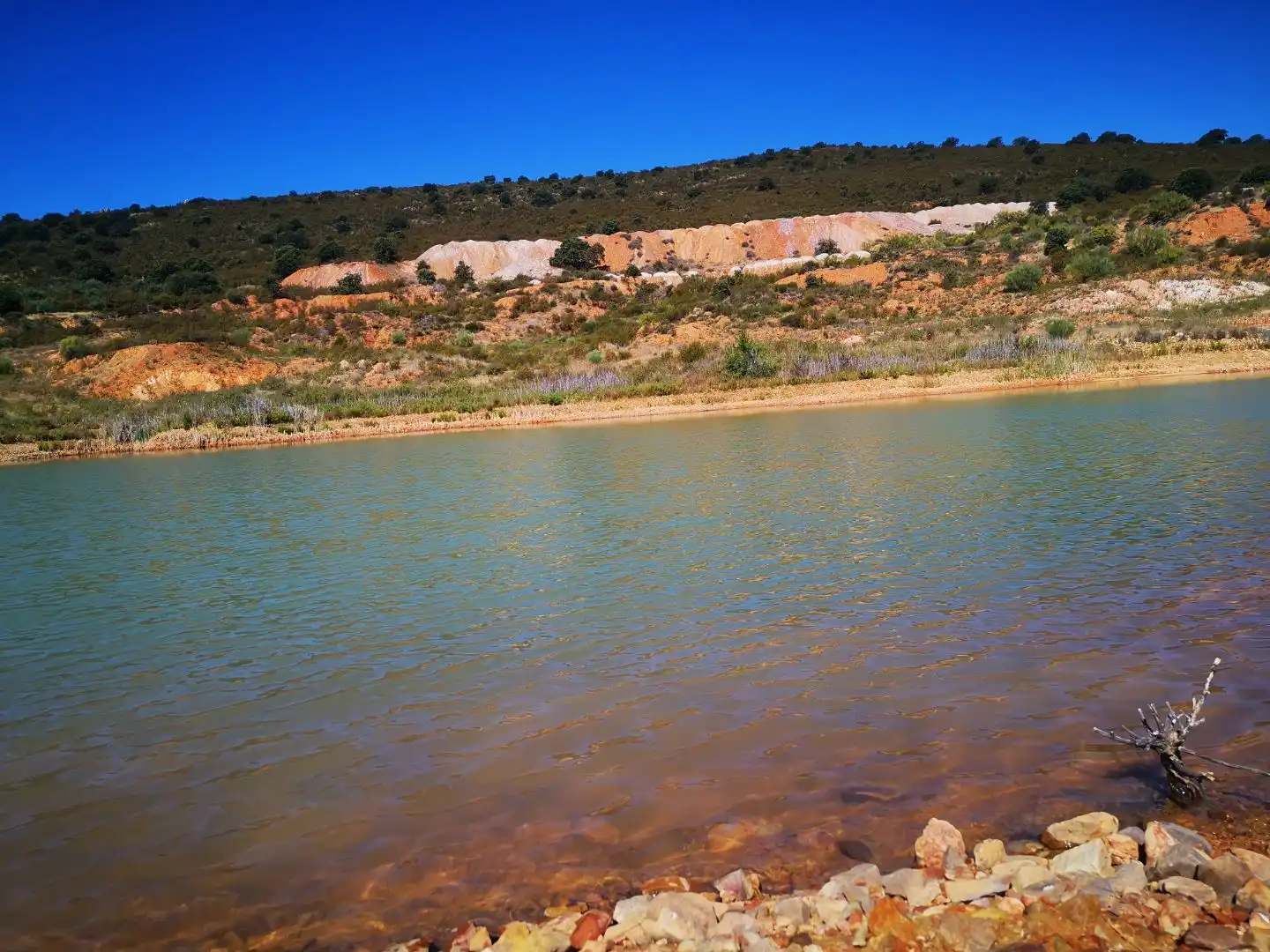 Terreny rústic en venda a parcela 191, imagen 10