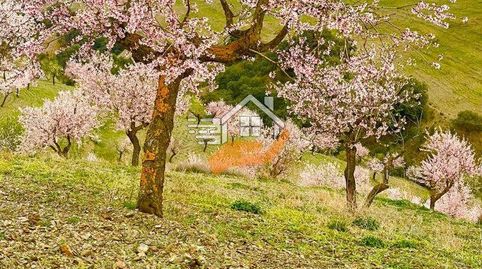 Finca Rúst. en venta en VélezRubio., immagine 2