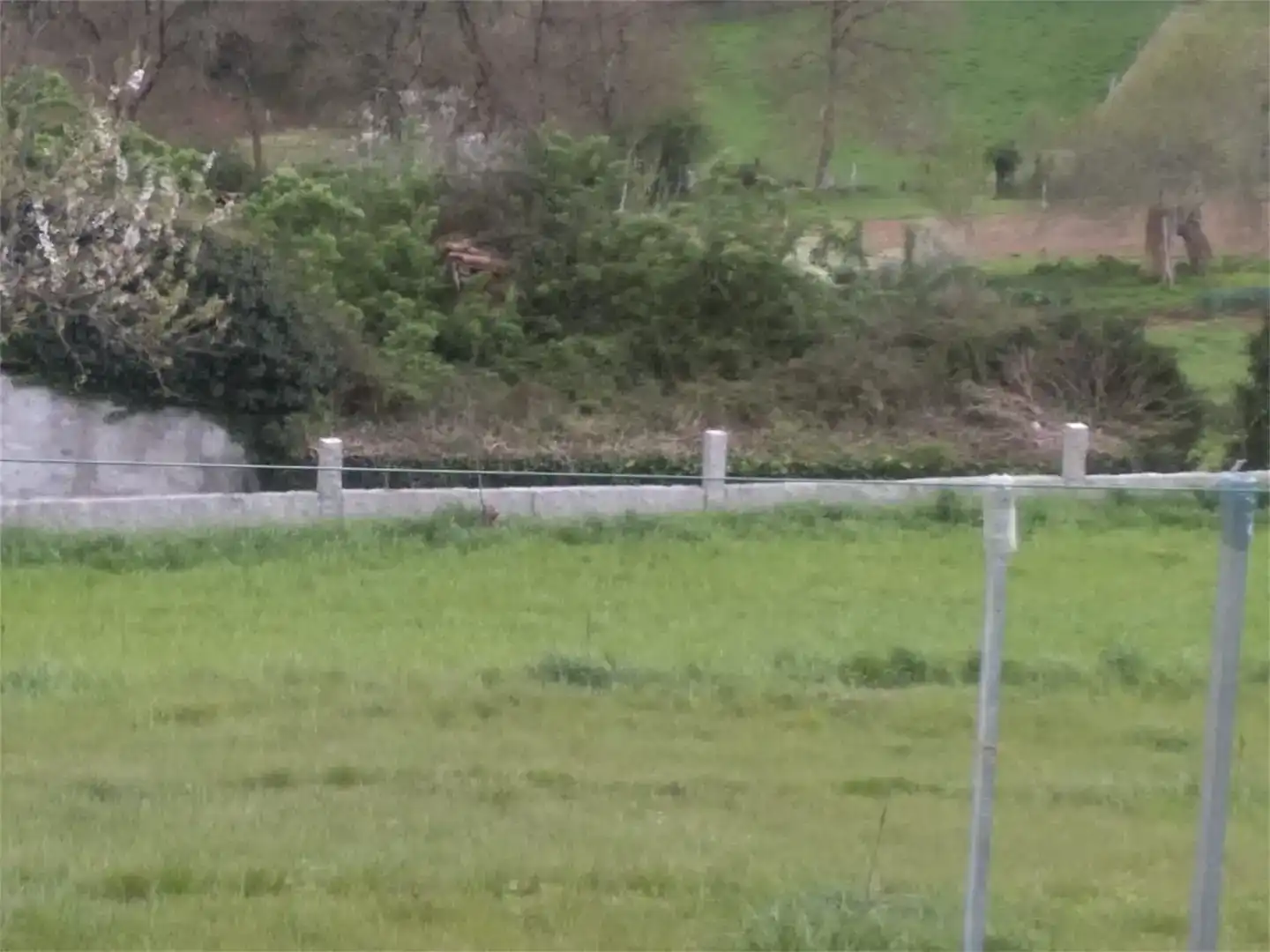 Finca rústica en venda en Vila de Cruces, Pontevedra