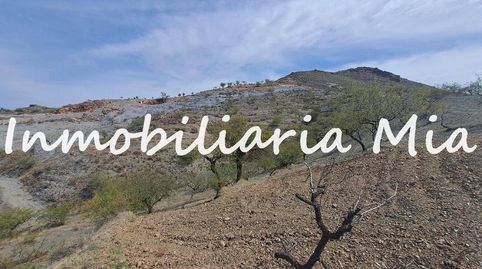 Se vende Finca con casa a reformar