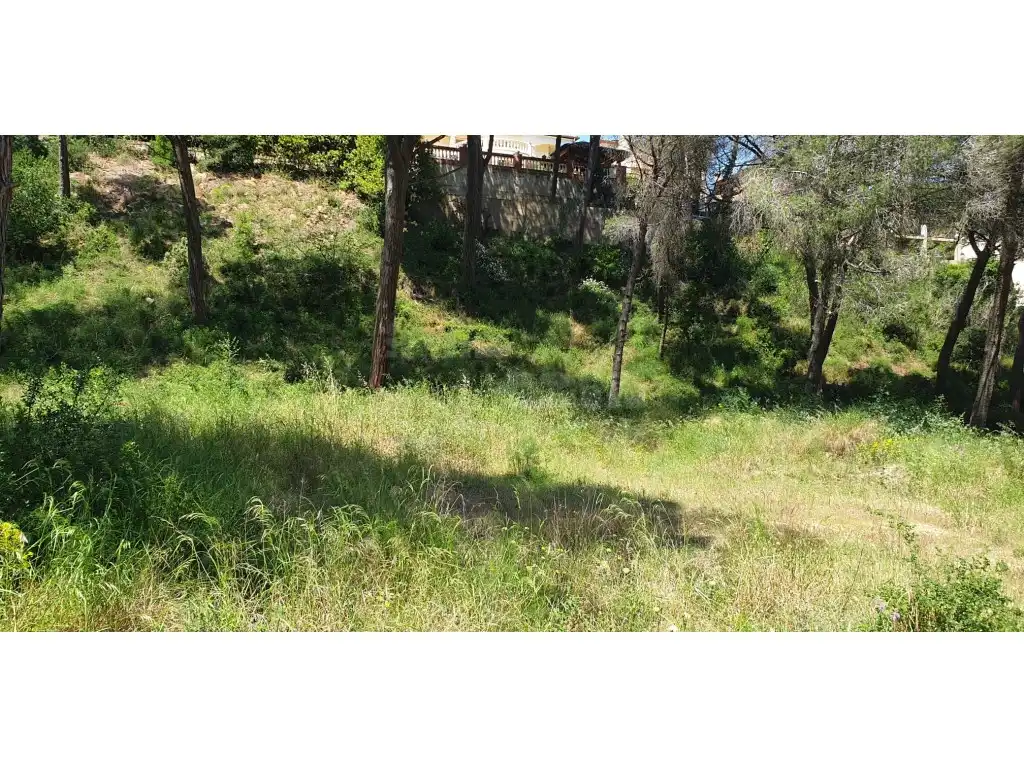 Terrain résidentiel à vendre à Platja de Pals, imagen 5